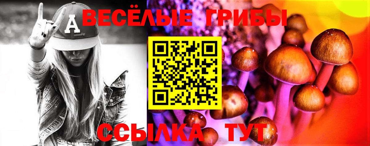 магазин продажи   Галлюциногенные грибы мицелий  Галлюциногенные грибы Magic Shrooms  Вход с VPN  Прохладный 