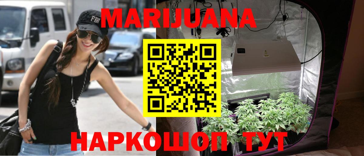 Бошки марихуана планчик Прохладный